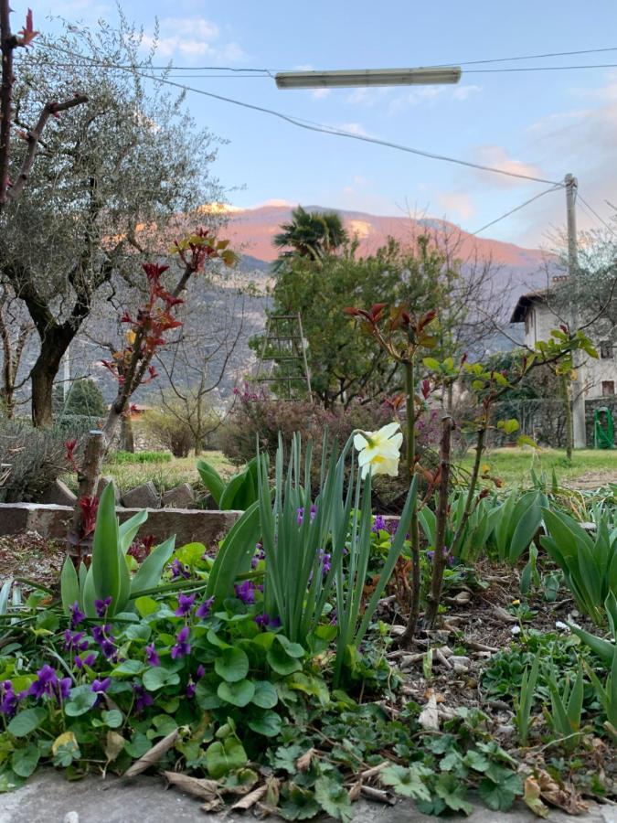 Ceniga Hotel Garni Delle Rose المظهر الخارجي الصورة