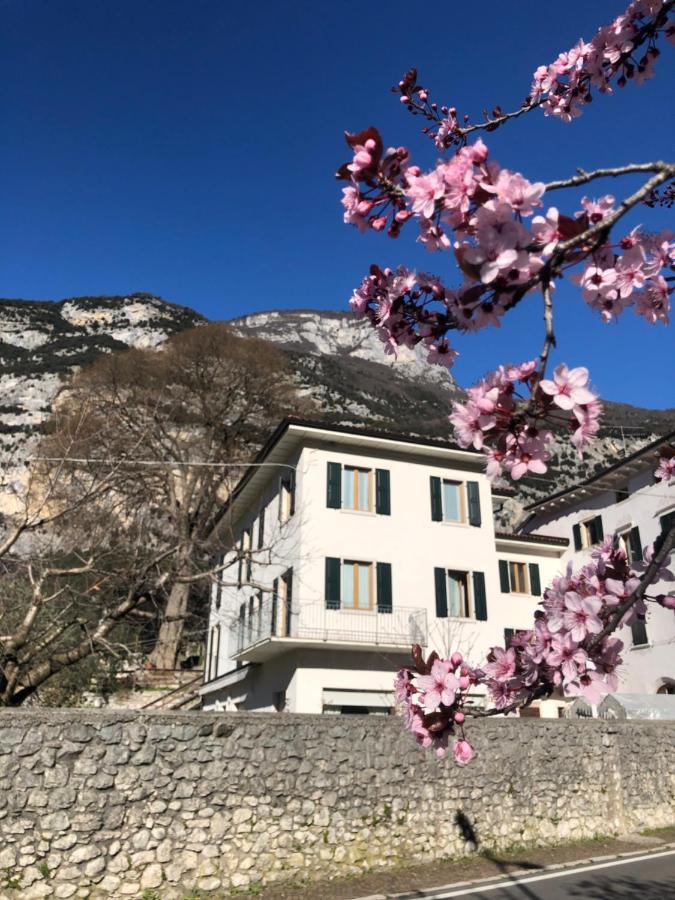 Ceniga Hotel Garni Delle Rose المظهر الخارجي الصورة