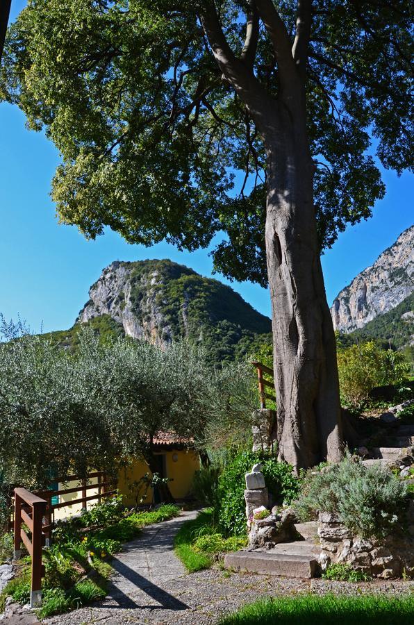 Ceniga Hotel Garni Delle Rose المظهر الخارجي الصورة
